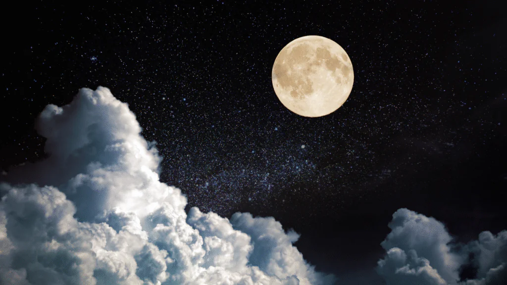 Lua Nova